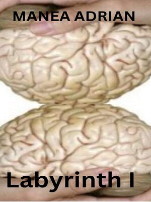 cover image of Labyrinth I